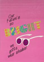 1990 Whitmore Lake High School Yearbook from Whitmore lake, Michigan cover image