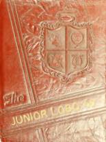 1949 Levelland Junior High School Yearbook from Levelland, Texas cover image