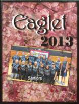 2013 Summit High School Yearbook from Summit, South Dakota cover image