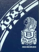 Balaton High School 1981 yearbook cover photo