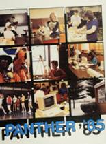 O'Fallon Township High School 1985 yearbook cover photo