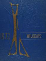 1972 Mayville High School Yearbook from Mayville, Michigan cover image
