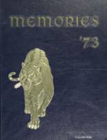 Marple-Newtown High School 1973 yearbook cover photo