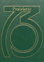 1973 Lester Prairie High School Yearbook from Lester prairie, Minnesota cover image