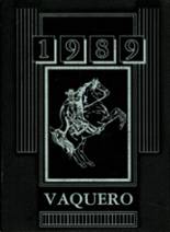 1989 Fernley High School Yearbook from Fernley, Nevada cover image