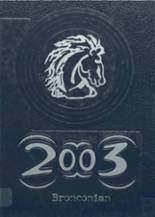 North Branch High School 2003 yearbook cover photo
