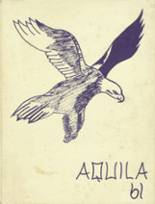 1961 Downsville Central High School Yearbook from Downsville, New York cover image