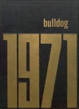 1971 Linden High School Yearbook from Linden, Indiana cover image