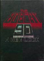 Hemingford High School 1990 yearbook cover photo