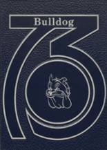 Madison Area Memorial High School 1973 yearbook cover photo