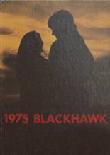 1975 Baldwin-Woodville High School Yearbook from Baldwin, Wisconsin cover image