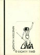 Palm Springs High School 1982 yearbook cover photo