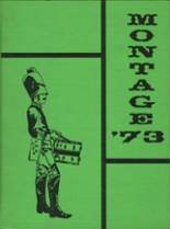 1973 Elk Grove High School Yearbook from Elk grove village, Illinois cover image