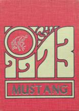 Hughes Springs High School 1973 yearbook cover photo