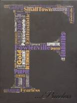 Fowlerville High School 2013 yearbook cover photo
