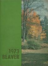 1973 Bluefield High School Yearbook from Bluefield, West Virginia cover image