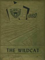 Wayne County High School 1960 yearbook cover photo
