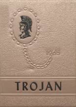 1965 Troy High School Yearbook from Troy, Kansas cover image