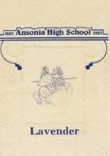 Ansonia High School 1983 yearbook cover photo