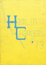 Hamlin High School 1973 yearbook cover photo
