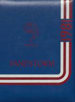 Davidson High School 1981 yearbook cover photo