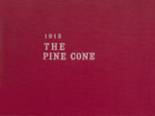 Pine Bluff High School 1913 yearbook cover photo