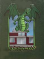 De Soto High School 2002 yearbook cover photo