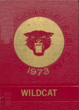 Carlisle High School 1973 yearbook cover photo