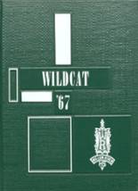 Willow River High School 1967 yearbook cover photo