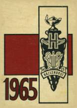Hazlehurst High School 1965 yearbook cover photo
