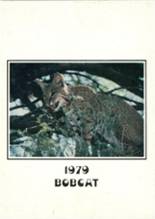 Dimmitt High School 1979 yearbook cover photo