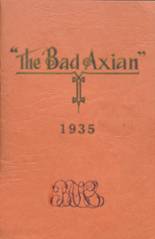 1935 Bad Axe High School Yearbook from Bad axe, Michigan cover image