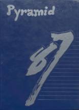 Pinckneyville High School 1987 yearbook cover photo