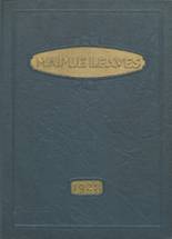 1928 Maplewood-Richmond Heights High School Yearbook from Maplewood, Missouri cover image
