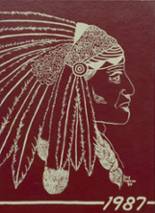 1987 Walnut Community High School Yearbook from Walnut, Illinois cover image