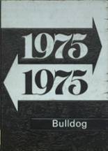 Hampton High School 1975 yearbook cover photo