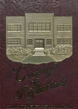 Sylacauga High School 1997 yearbook cover photo