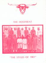 Meeteetse High School 1981 yearbook cover photo
