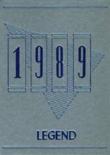 1989 Whetstone High School Yearbook from Columbus, Ohio cover image