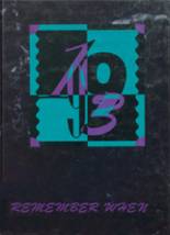 1993 Albany High School Yearbook from Albany, Minnesota cover image