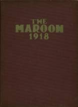 1918 Elgin High School Yearbook from Elgin, Illinois cover image