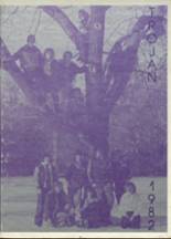 Litchfield High School 1982 yearbook cover photo