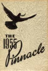 1955 Pinnacle High School Yearbook from Pinnacle, North Carolina cover image