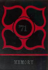 1971 Mathews High School Yearbook from Vienna, Ohio cover image
