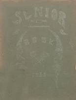 1933 Union High School Yearbook from Dugger, Indiana cover image