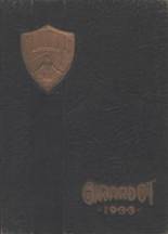 Central High School 1933 yearbook cover photo