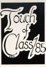 Seminole High School 1985 yearbook cover photo