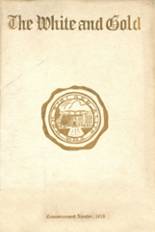 1916 Woodbury High School Yearbook from Woodbury, New Jersey cover image