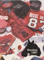 Steubenville High School 1987 yearbook cover photo