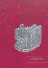 Atkinson County High School 1991 yearbook cover photo